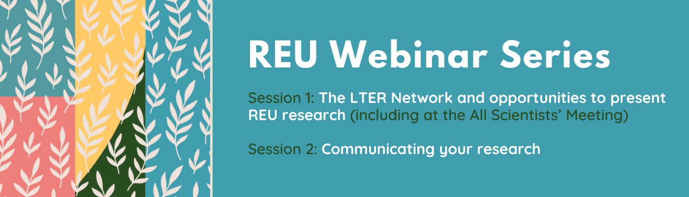 REU webinar banner (1)