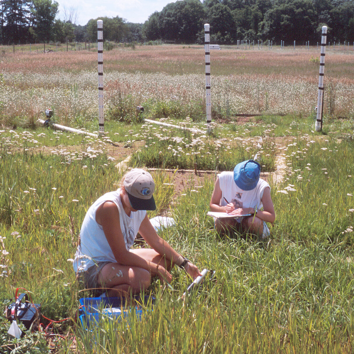 two students sampling grasses