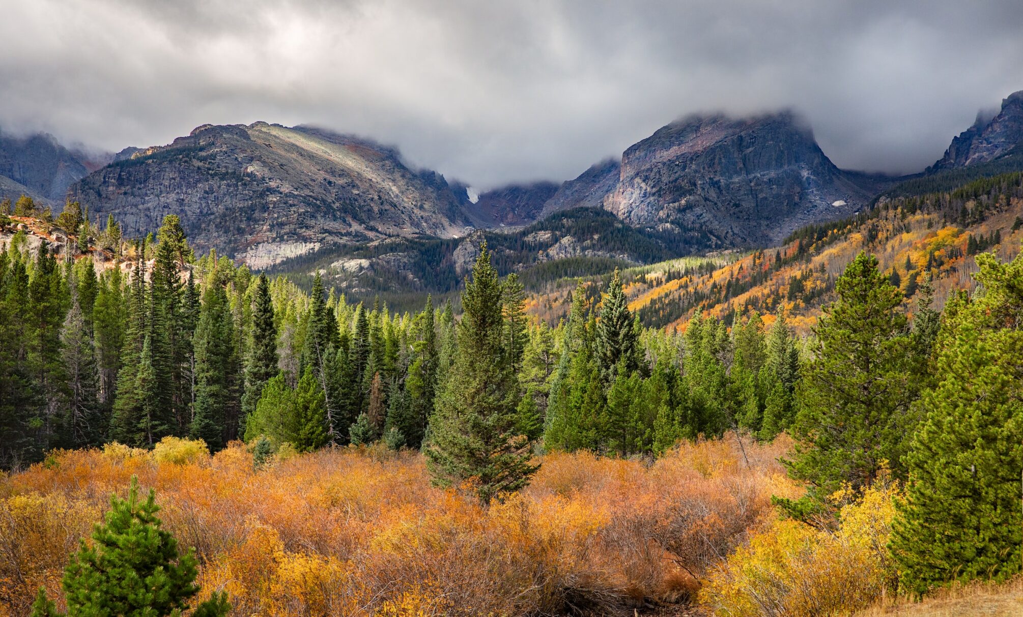 clouds, mountains, trees, and shrubs