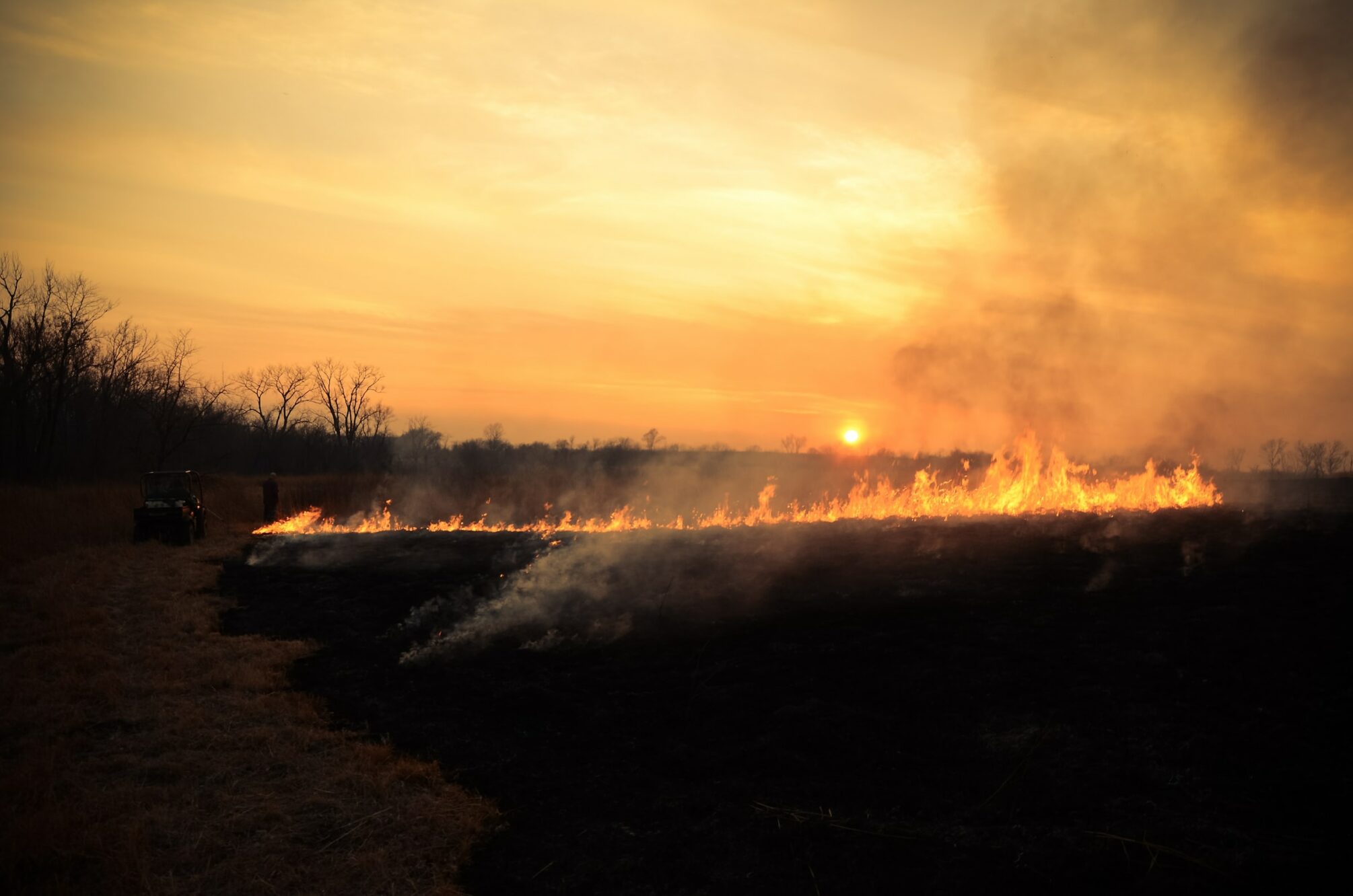 line of fire in a dark, open landscape