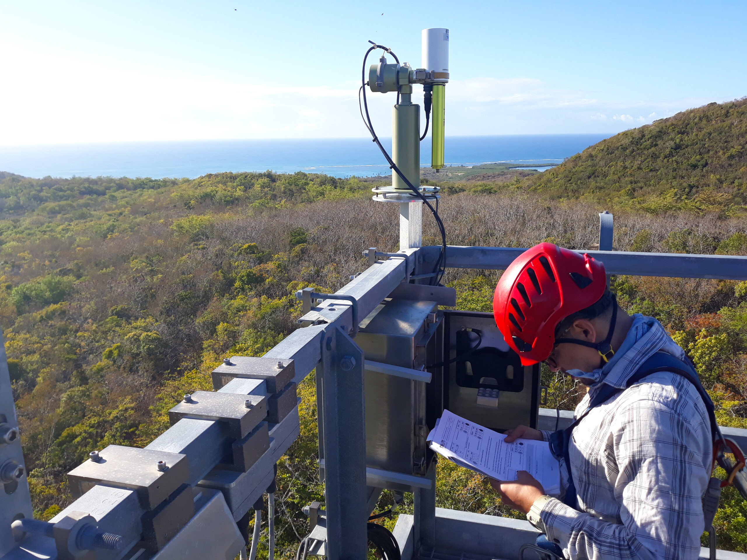 researcher recording data in flux tower overlooking coastal forest