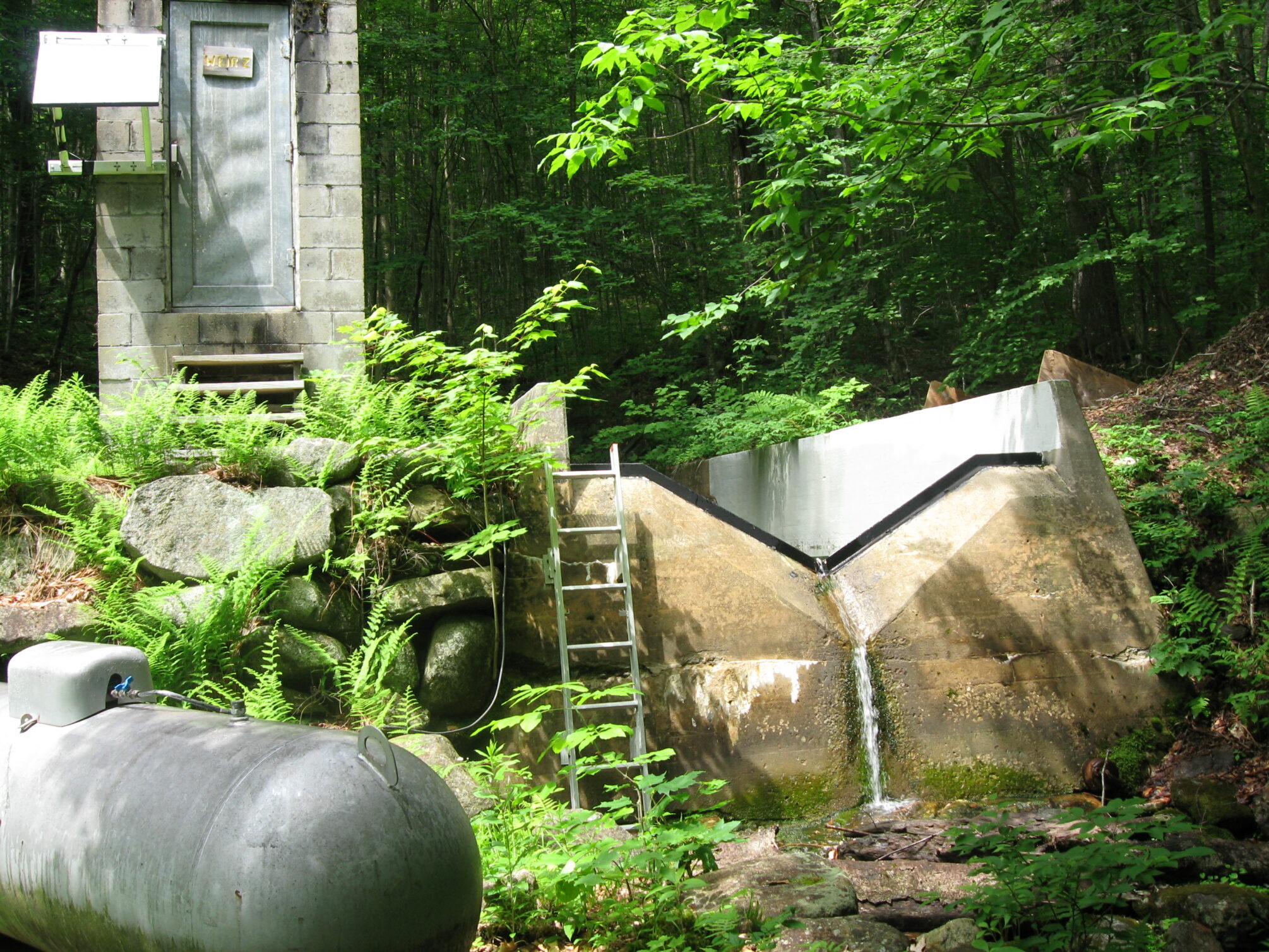 A green forest behind a grey weir, a concrete channel with a v-shaped notch cut out of the front, with water trickling out of the notch.