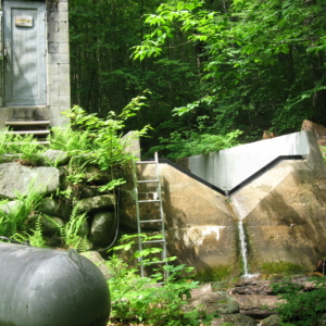 A green forest behind a grey weir, a concrete channel with a v-shaped notch cut out of the front, with water trickling out of the notch.