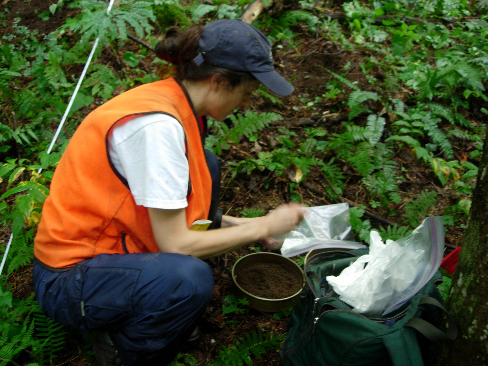 A researcher in an orange vest stands atop a brown and green forest floor with white sampling equipment in front of her and a round puck of soil below her feet.