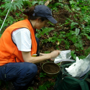 A researcher in an orange vest stands atop a brown and green forest floor with white sampling equipment in front of her and a round puck of soil below her feet.