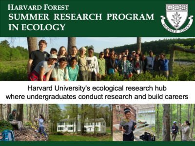 announcement slide for harvard forest's research program in ecology