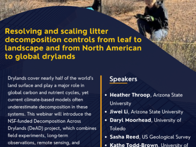 ILTER Webinar flyer. Text is the same as in the post.