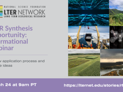 graphic of webinar information included in post