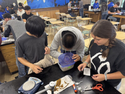 Three students at a lab bench with an urchin in a plastic container and a balance.