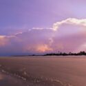 A Day in the Life: Behind the Scenes on Sapelo Island