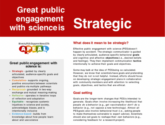 front page of &quot;strategic&quot; practice brief from APEAL Project