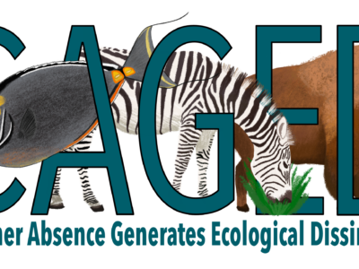 working group logo, including title (Consumer Absence Generates Ecosystem Dissimilarity) and multiple terrestrial and marine consumers.
