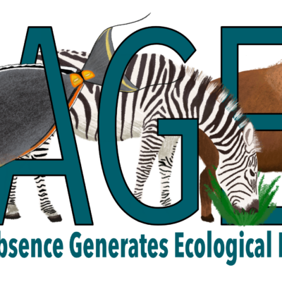 2025-2026 Synthesis Groups: Community Call