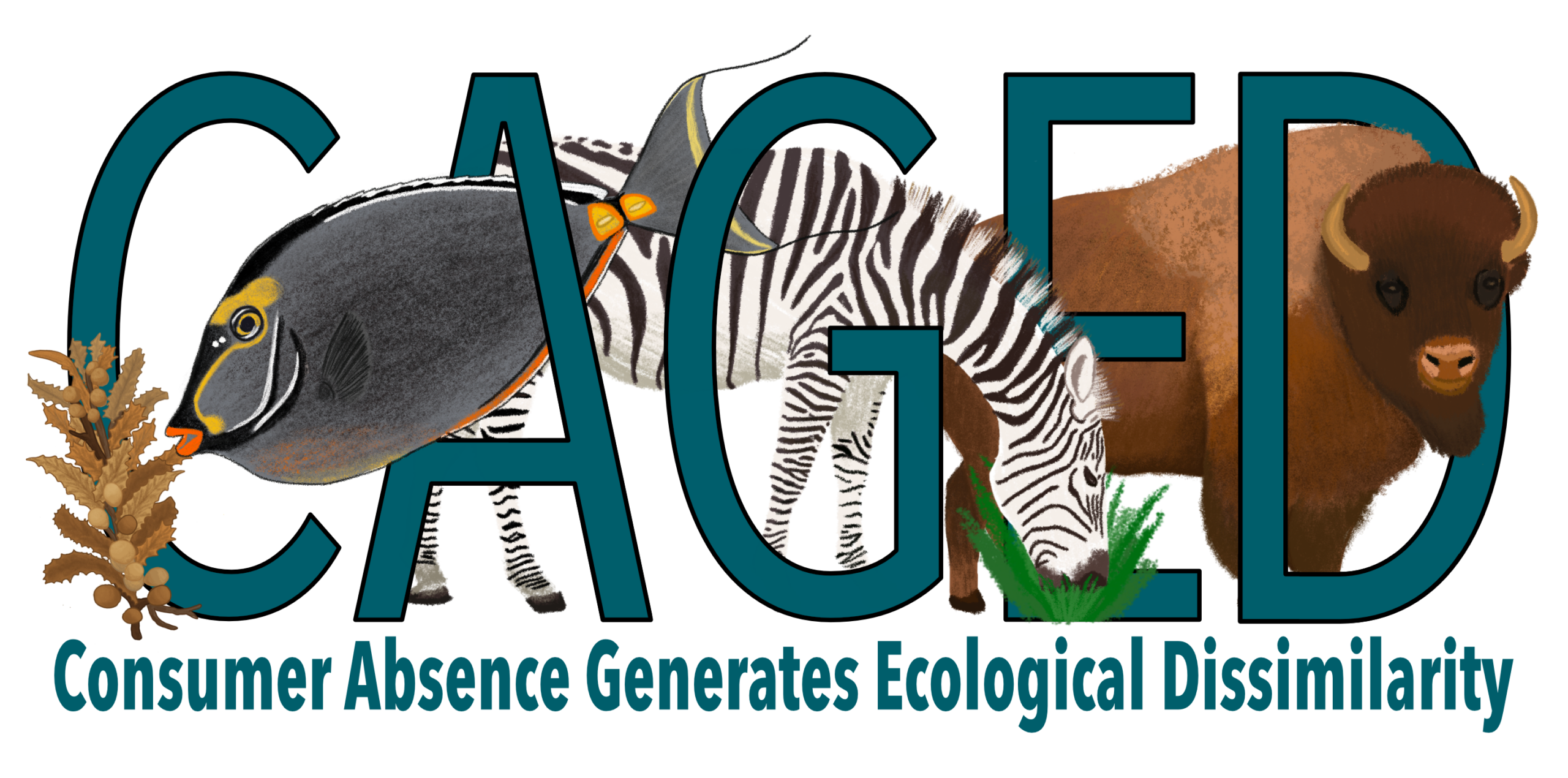 2025-2026 Synthesis Groups: Community Call