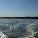 Collaboration with Shellfishers: an APEAL Seed Project
