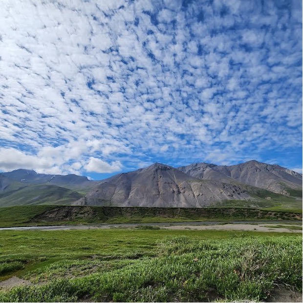 Broad expanse of grass and shrubs, with mountains in the background