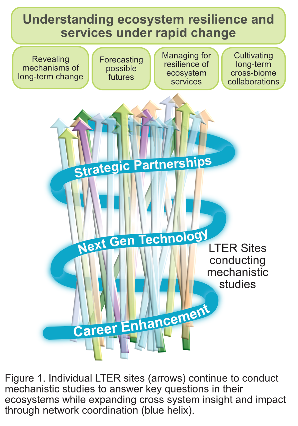 A bundle of arrows representing individual LTER sites, surrounded by a helix representing the network functions, all pointing upward to the overarching strategic priority of understanding ecosystem resilience and services under rapid change.