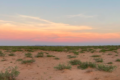 Sunrise over vast desert landscape with small scrubby vegetation in foreground