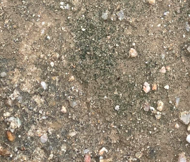 Desert soil surface with greenish color at center of frame