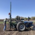 Planted prairie strips are safe for native pollinators