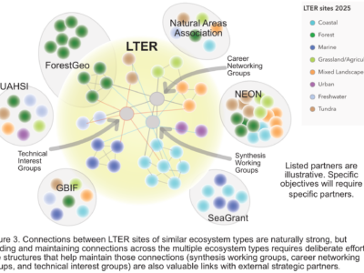 diagram describing the relationship among LTER sites, shared network activities, and partner organizations