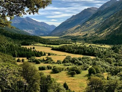glacial valley with a mixed trees and grassland