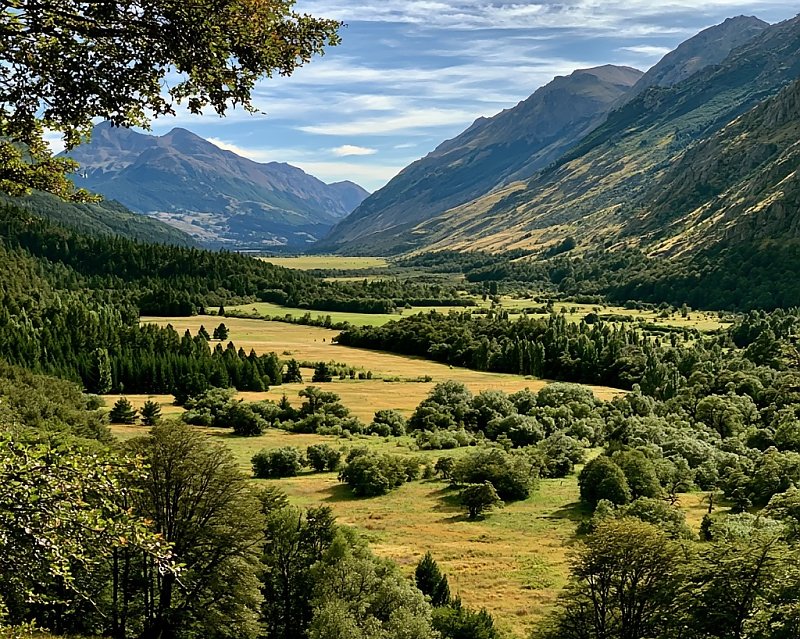 glacial valley with a mixed trees and grassland