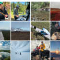 2026 Photo Contest