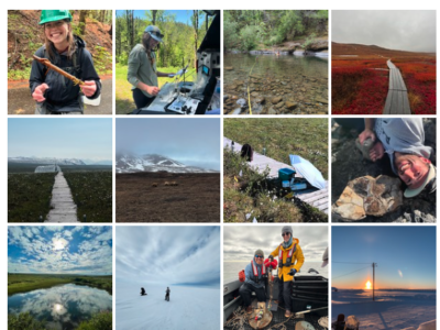 twelve small images with landscapes and people in a masonry display