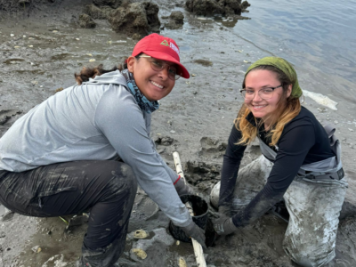 two young scientists sampling in a marsh