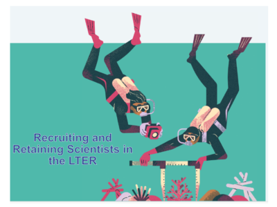 graphic image of two scuba divers, taking measurements on a coral reef.