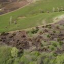 Shrubs Take Over the Prairie: Cascading Changes Reshape Grassland Water Systems